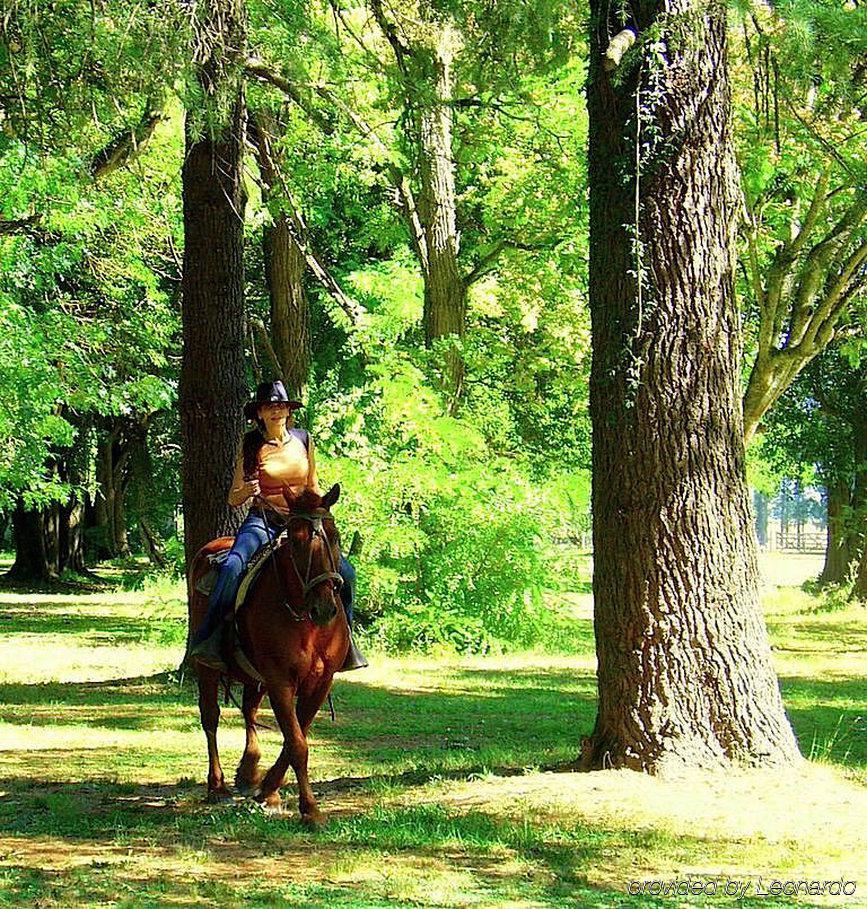 Estancia Monte Viejo Брандсен Экстерьер фото